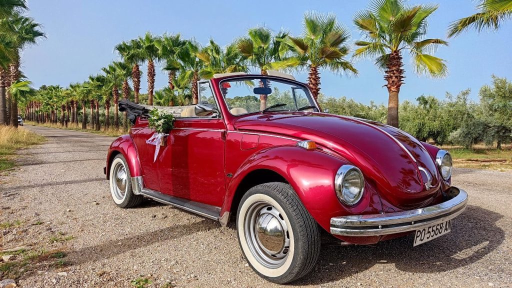 a898db22-ac76-43bf-a4c6-c77add331fc1